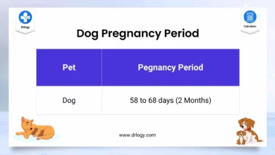 Dog Pregnancy Calculator