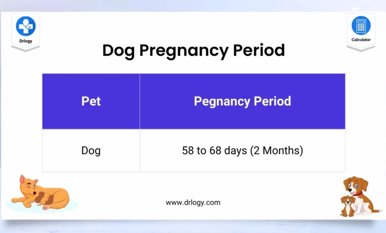 Dog Pregnancy Calculator