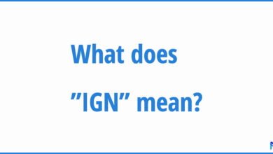 IGN Meaning