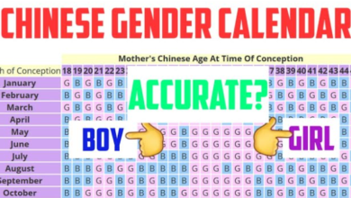 Chinese Calendar Baby Gender 2024 to 2025