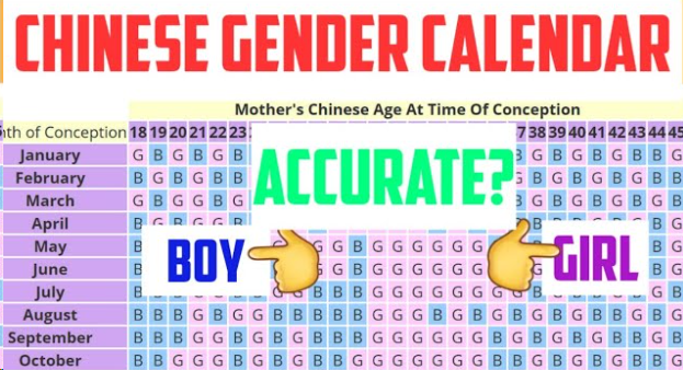 Chinese Calendar Baby Gender 2024 to 2025